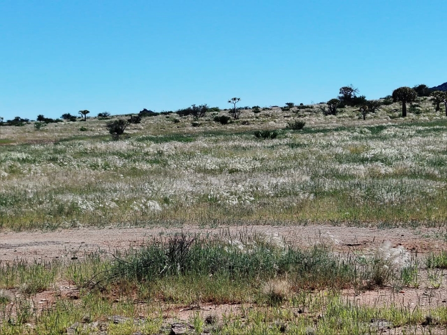 Commercial Property for Sale in Kenhardt Northern Cape